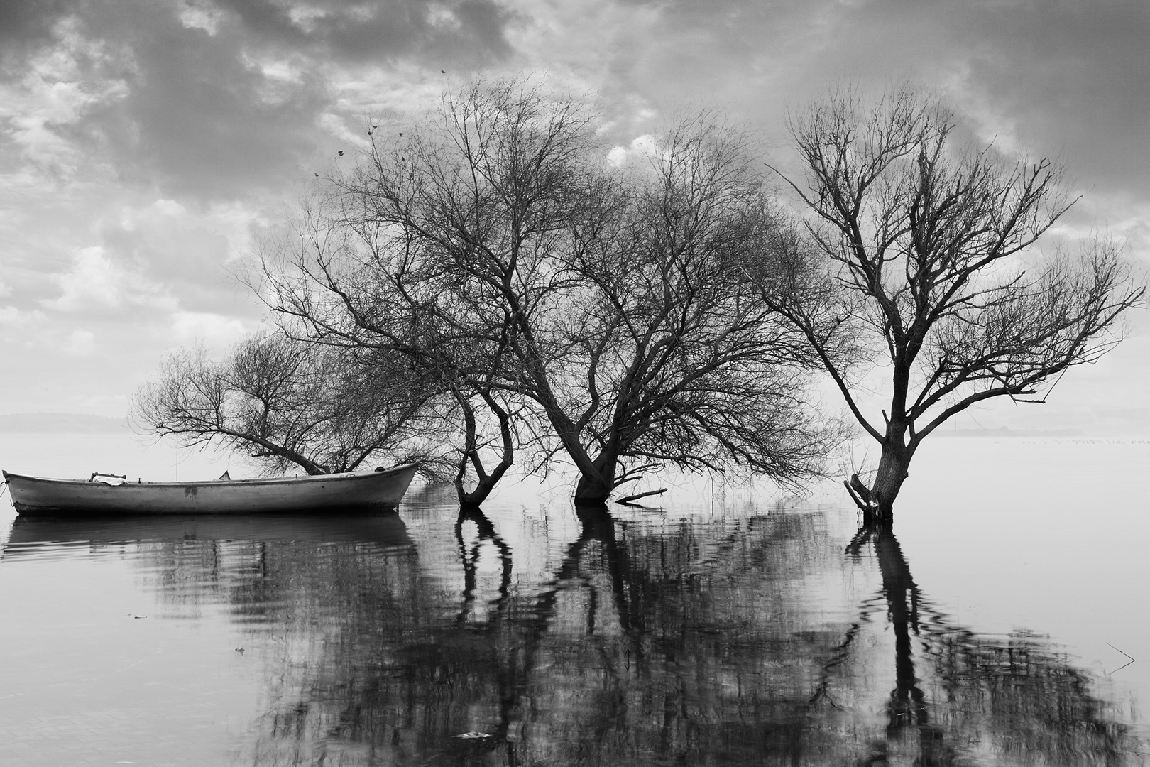 The boat and its attachment. Ansel Adams 1942/ The Ansel Adams Gallery. 