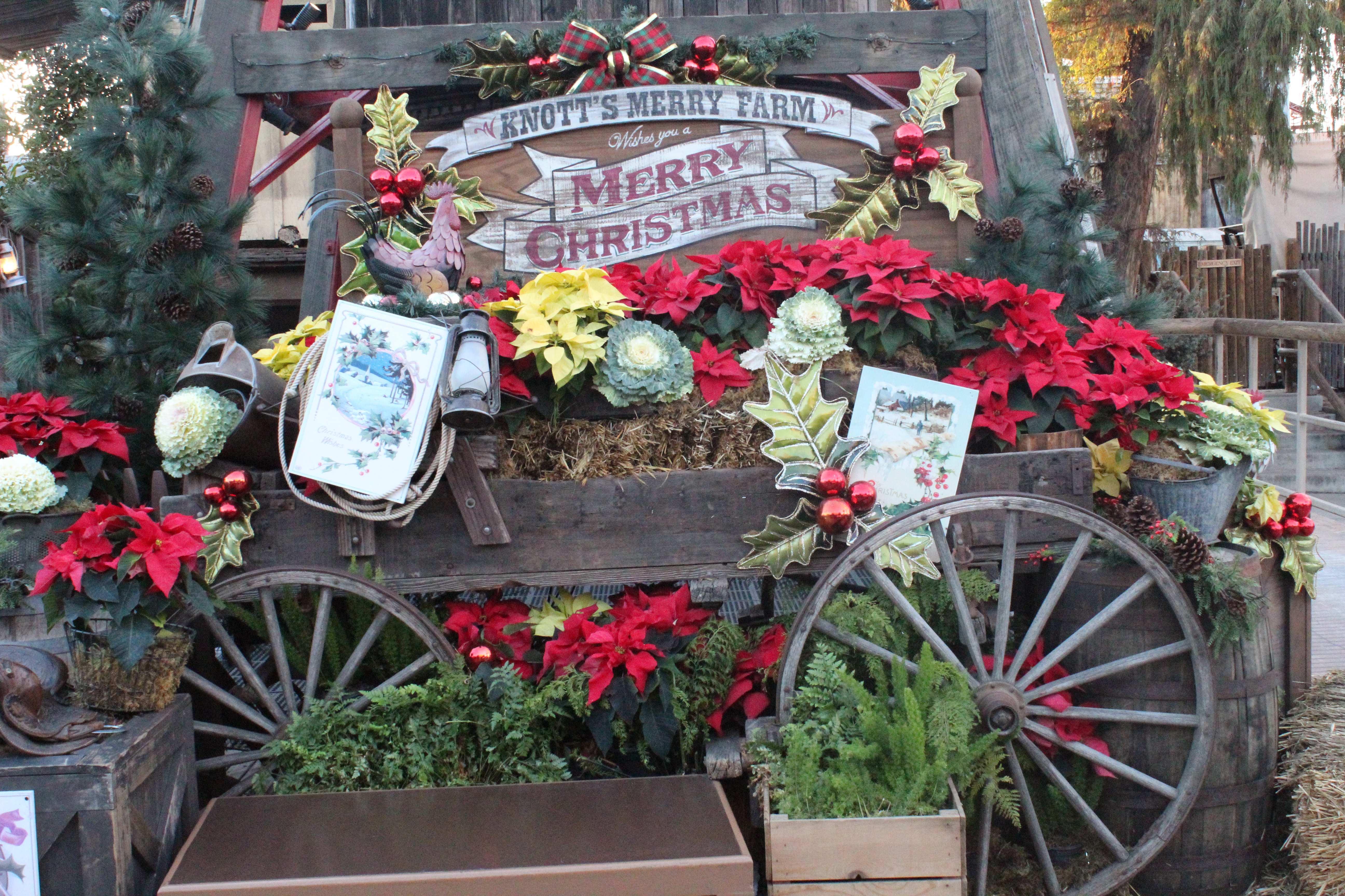 Knott's Merry Farm