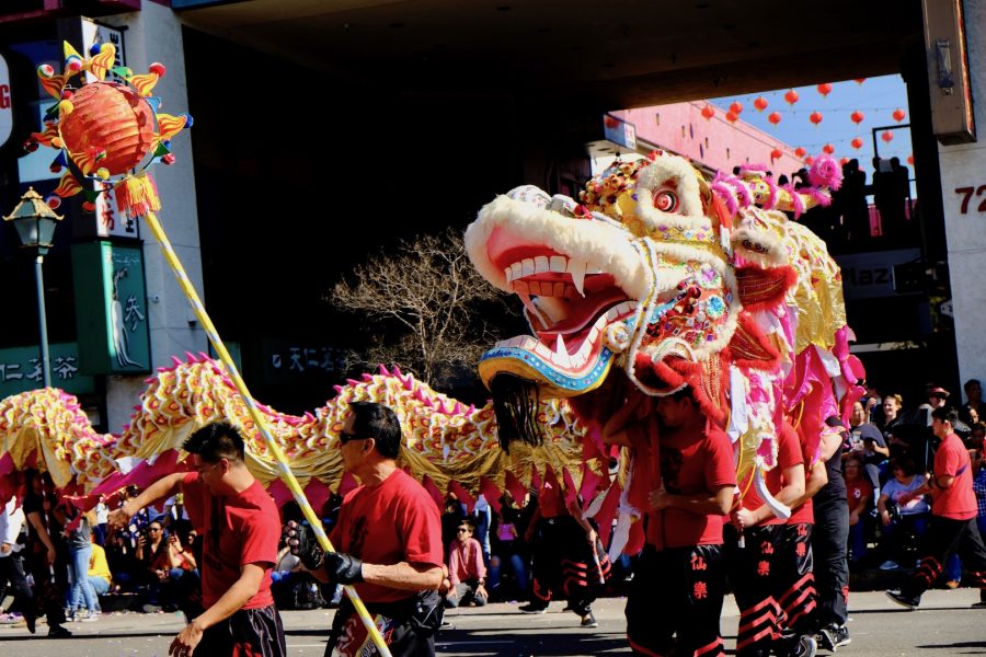 Dragons Dash, Lions Dance for Lunar New Year