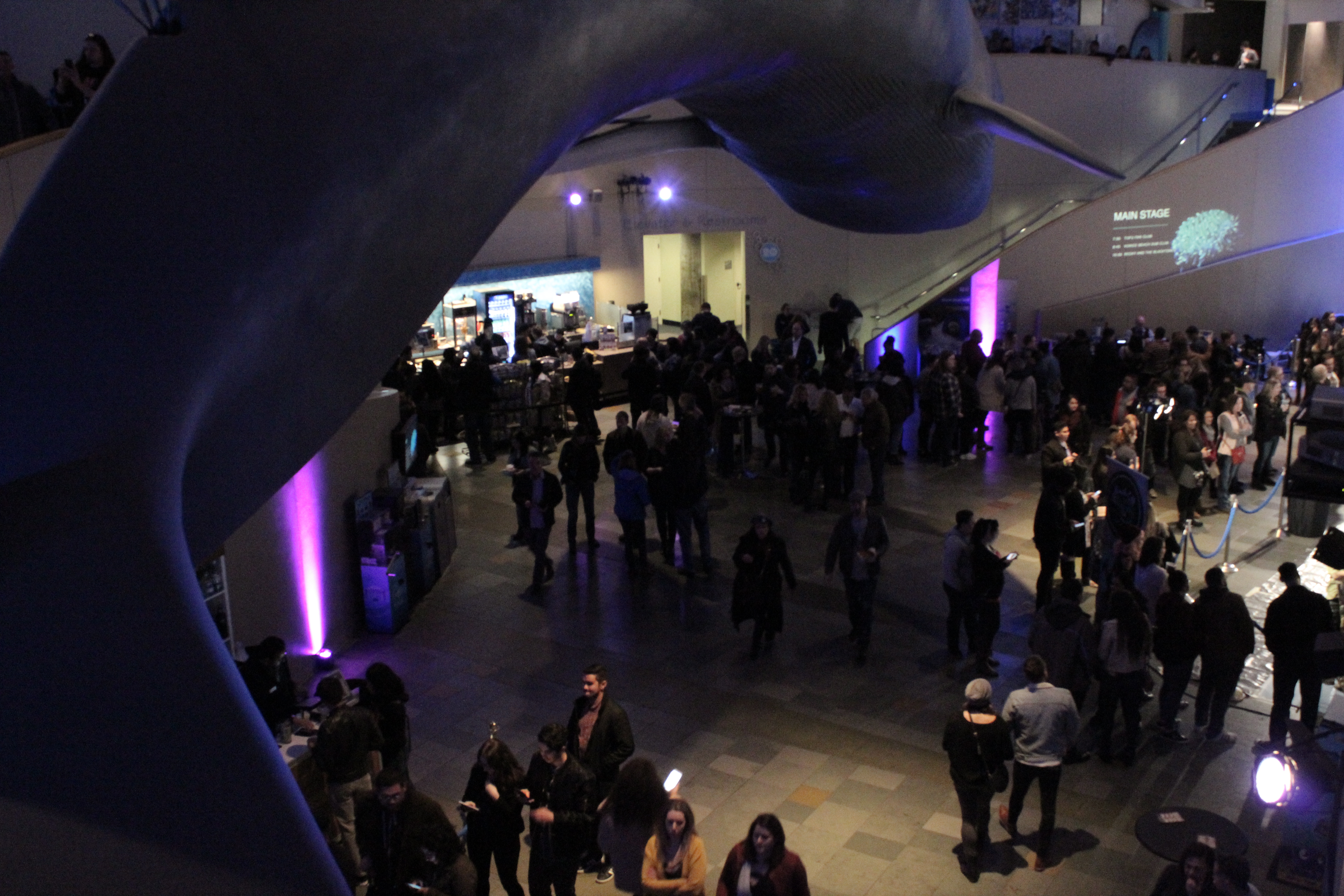 The Aquarium of the Pacific's Night Dive