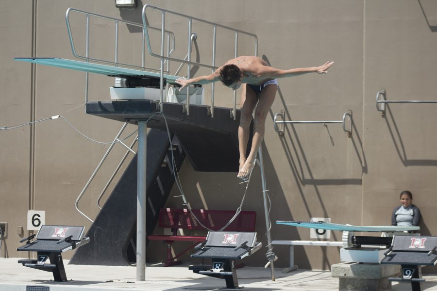 Andres Jaramillo dives into the pool during his practice time at the Mt. SAC Aquatics Center on April 18, 2017. Luis Olguin/SAConScene