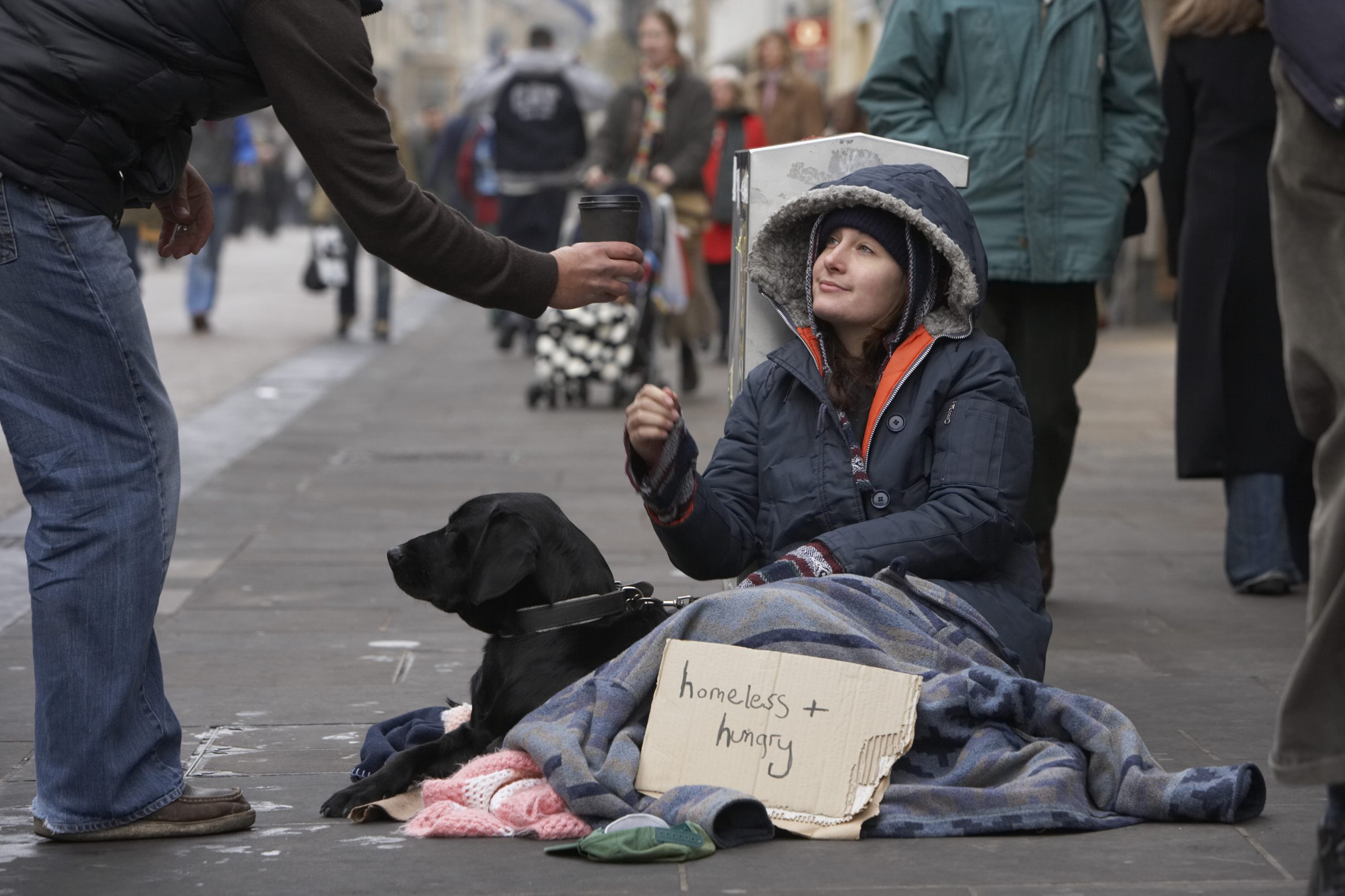 Honors Program Survey Aims to Help Homeless Students SACMedia