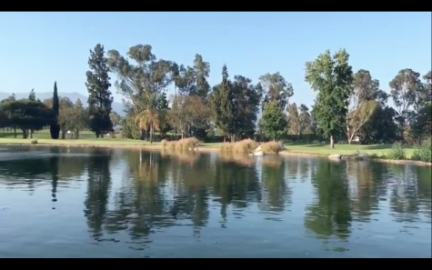 Taken from the public video published by Hong Andy on June 28, 2017
