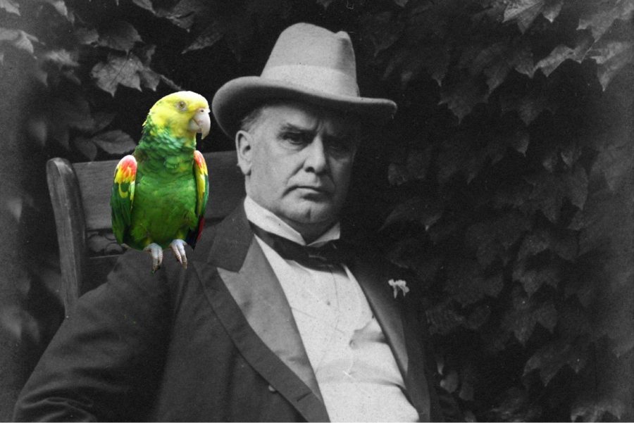 President William McKinley with a superimposed parrot for representation purposes. Photo by Monica Inouye / SACmedia.