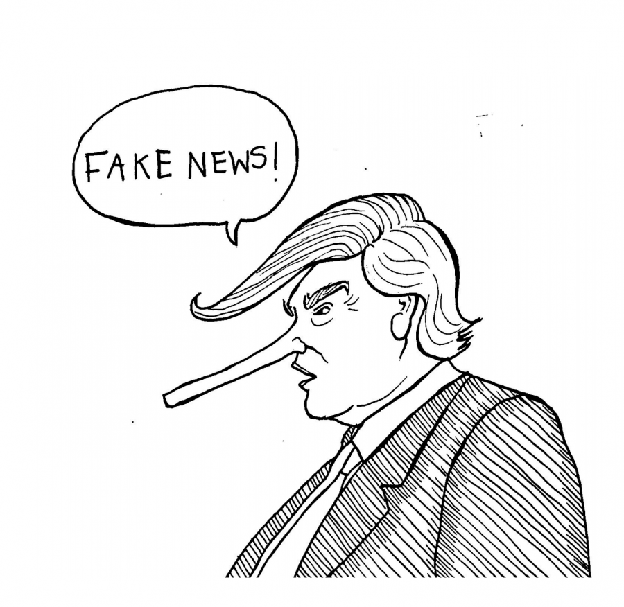 Cartoon by Louisa Gao.