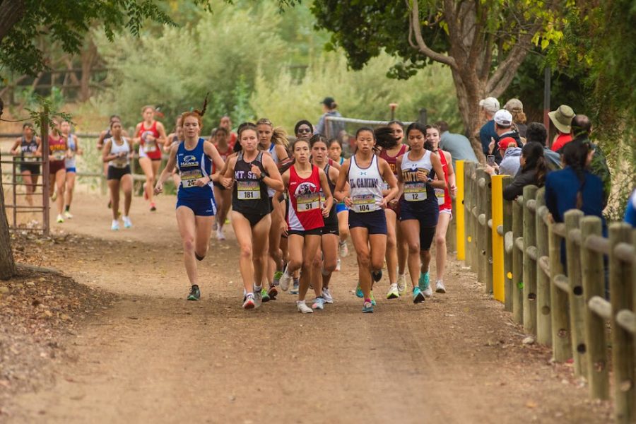 Oct. 14, 2022. Always at the front of the pack, Hannah Brown makes her case to be the best cross country runner in Mountie history. Via Hannah Brown.