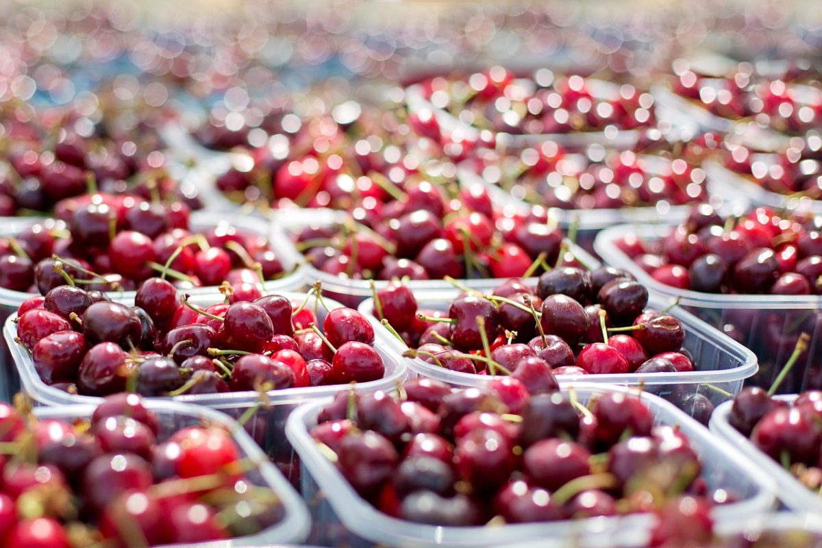 Mt. SAC’s Farmer’s Market brings food and fun for the community