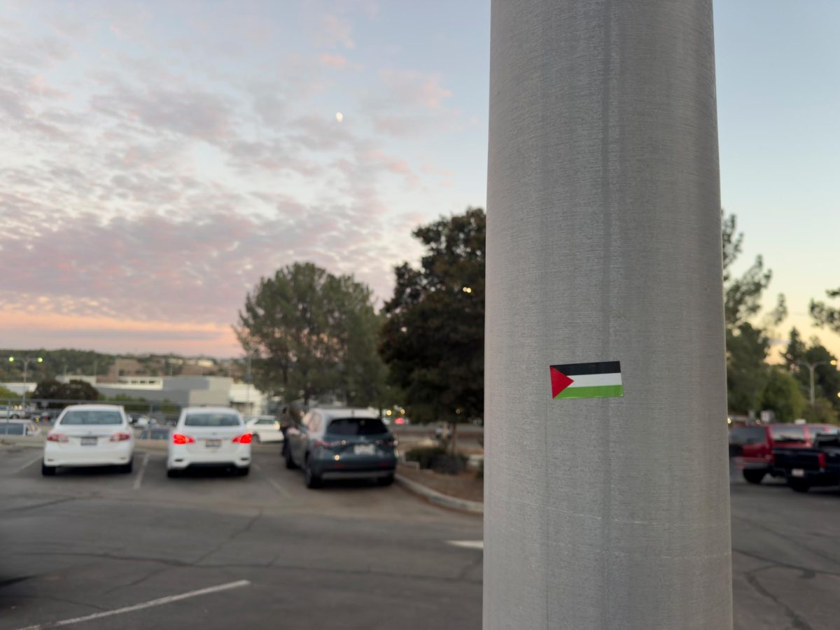 A Palestinian flag sticker on a pole in Mt. SAC's Lot H. 
